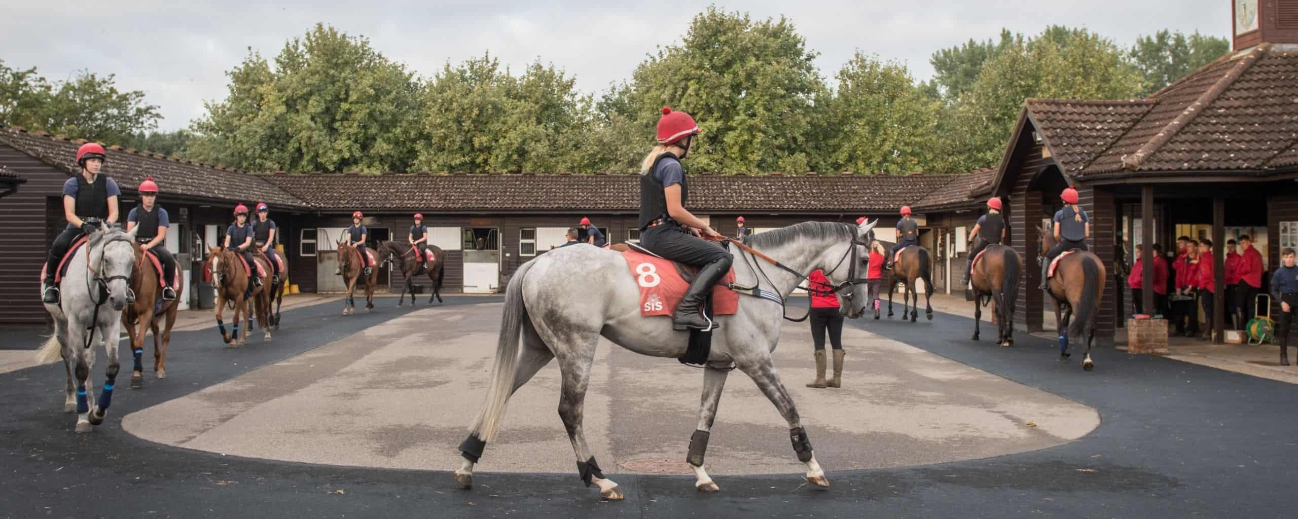 Horses parading at the British Racing School